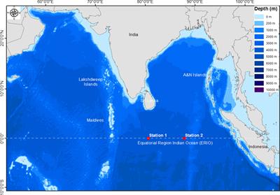 Unraveling the potential of bacteria isolated from the equatorial region of Indian Ocean in mercury detoxification